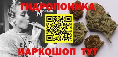 2c-b Заводоуковск