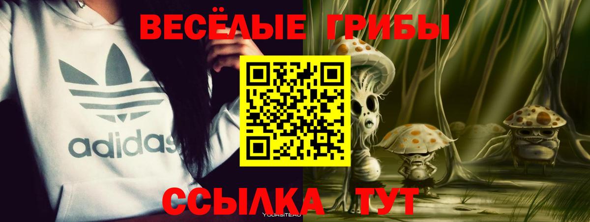 Галлюциногенные грибы MAGIC MUSHROOMS  Вход с VPN  Евпатория 